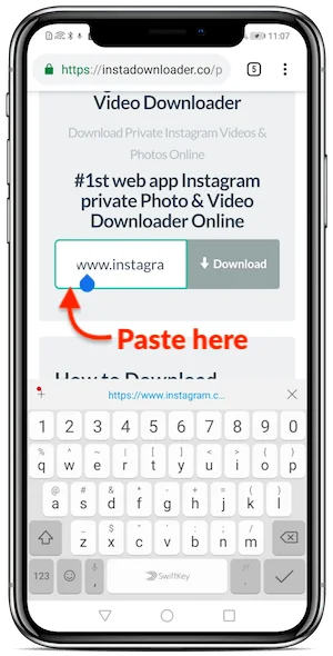 download instagram private video android